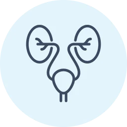 clinica urologica